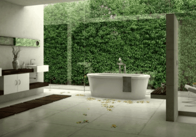 bathroom design transparency san diego